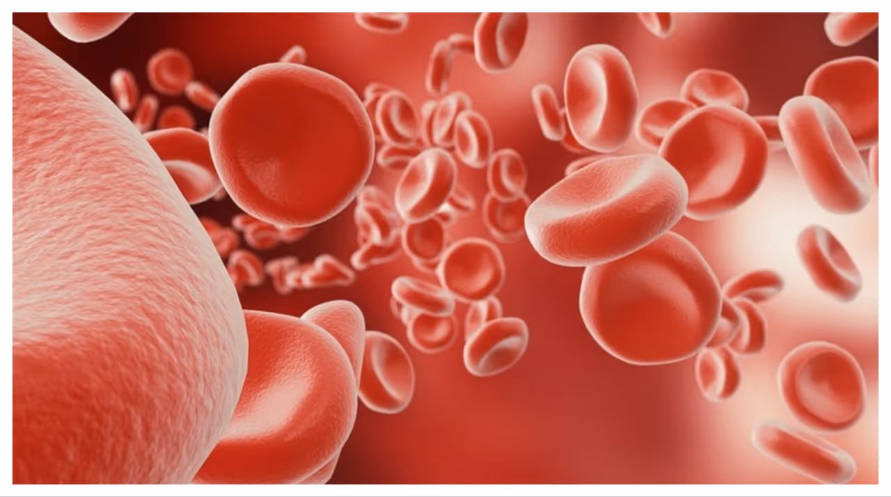 ഹീമോഗ്ലോബിൻ കൗണ്ട് കൂട്ടാൻ കഴിക്കേണ്ട എട്ട് ഭക്ഷണങ്ങൾ ഹീമോഗ്ലോബിൻ കൗണ്ട് കൂട്ടാൻ കഴിക്കേണ്ട എട്ട് ഭക്ഷണങ്ങൾ