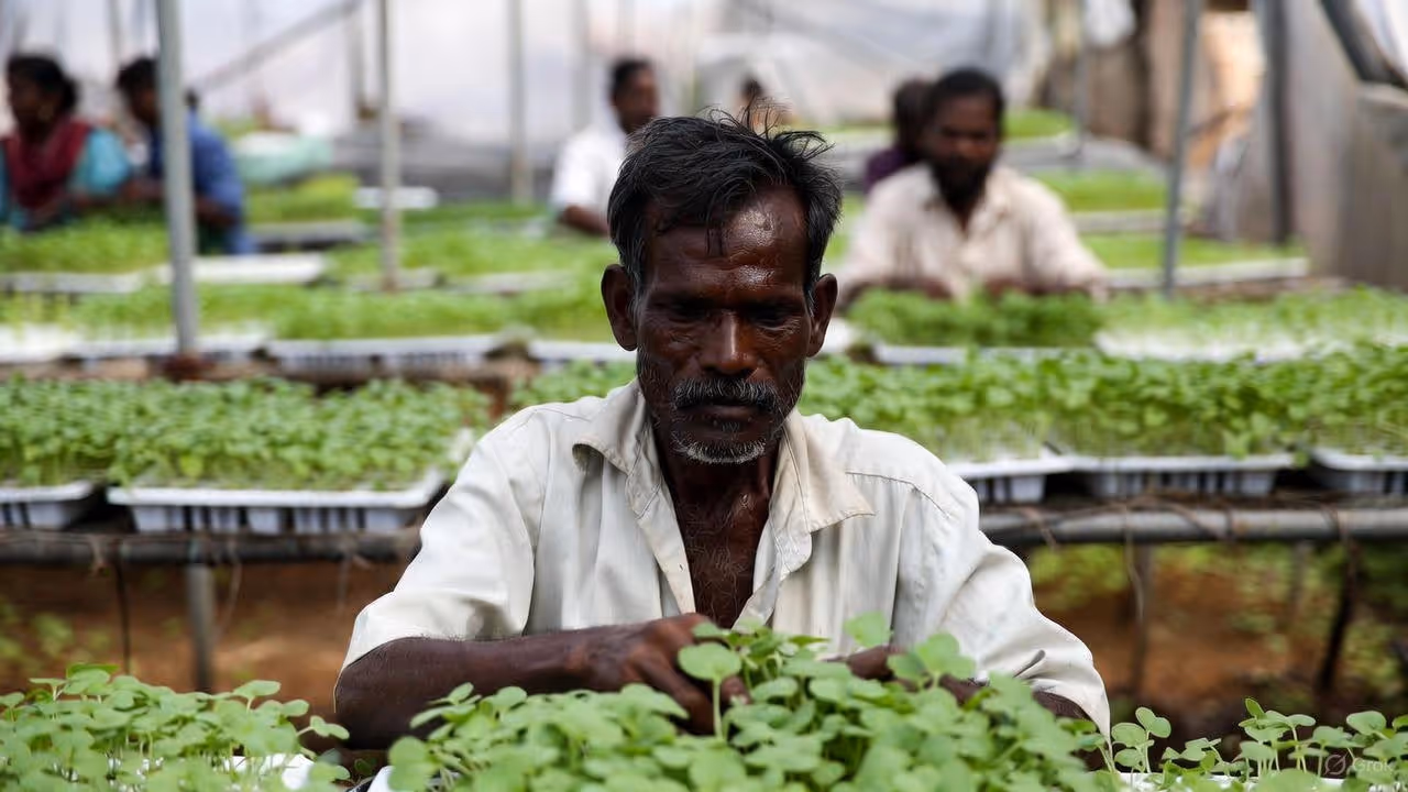 லட்சங்களில் வருமானம் ஈட்டலாம்.! லட்சங்களில் வருமானம் ஈட்டலாம்.!