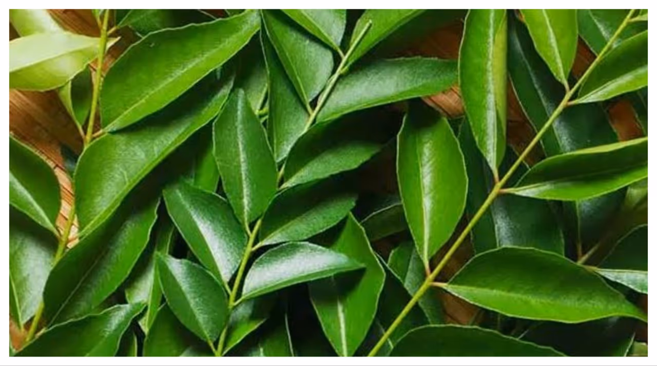 കലോറി കുറവാണ് കലോറി കുറവാണ്