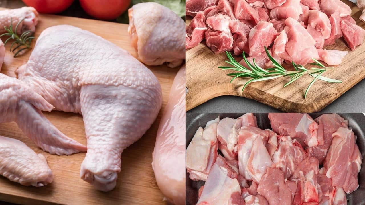 కోళ్ల ఉత్పత్తి వేగం ఎక్కువగా ఉండటం కోళ్ల ఉత్పత్తి వేగం ఎక్కువగా ఉండటం