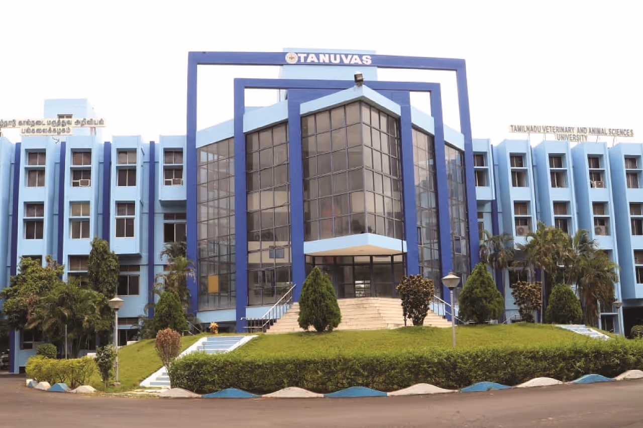 கால்நடை பல்கலையில் வேலைவாய்ப்பு கால்நடை பல்கலையில் வேலைவாய்ப்பு