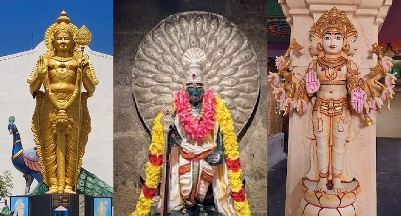 Nadupalani Dandayuthapani Murugan கோயில் அமைவிடம்: Nadupalani Dandayuthapani Murugan கோயில் அமைவிடம்: