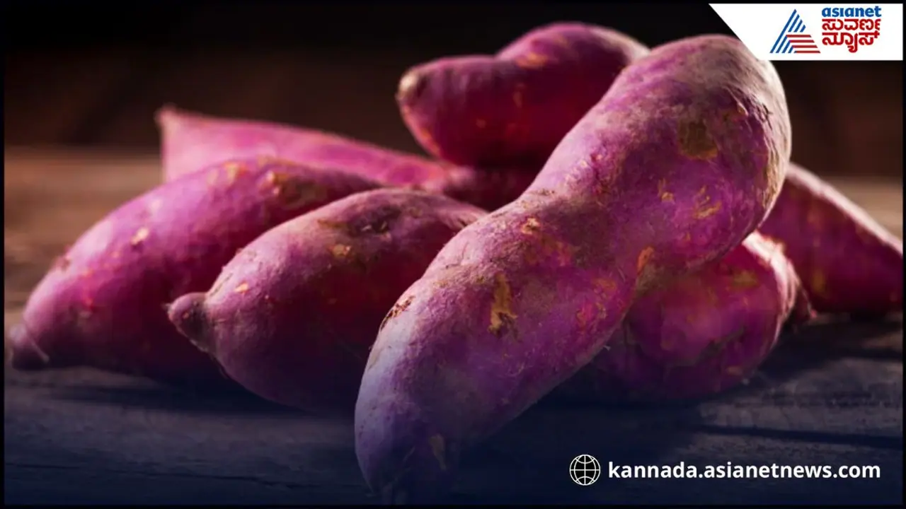 ಸಿಹಿ ಗೆಣಸಿನ ಚಿಪ್ಸ್ ಸಿಹಿ ಗೆಣಸಿನ ಚಿಪ್ಸ್