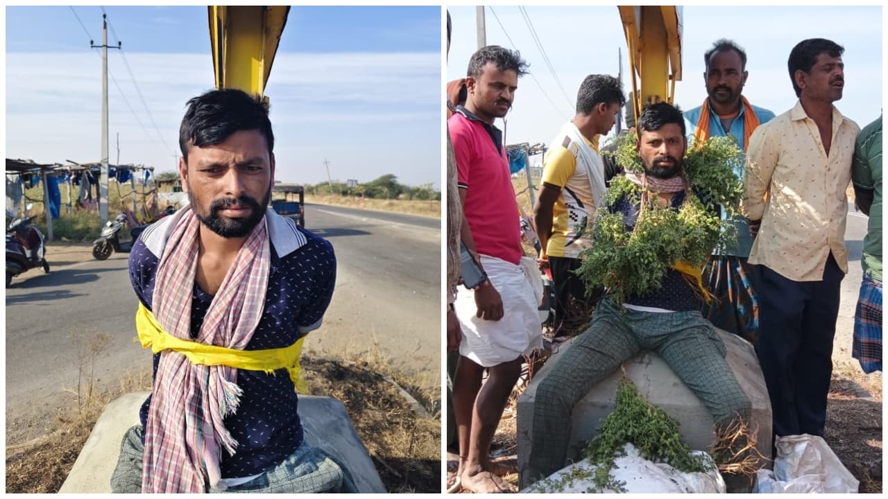 ಕಡಲೆಕಾಯಿ ಕಳ್ಳತನ ಕಡಲೆಕಾಯಿ ಕಳ್ಳತನ