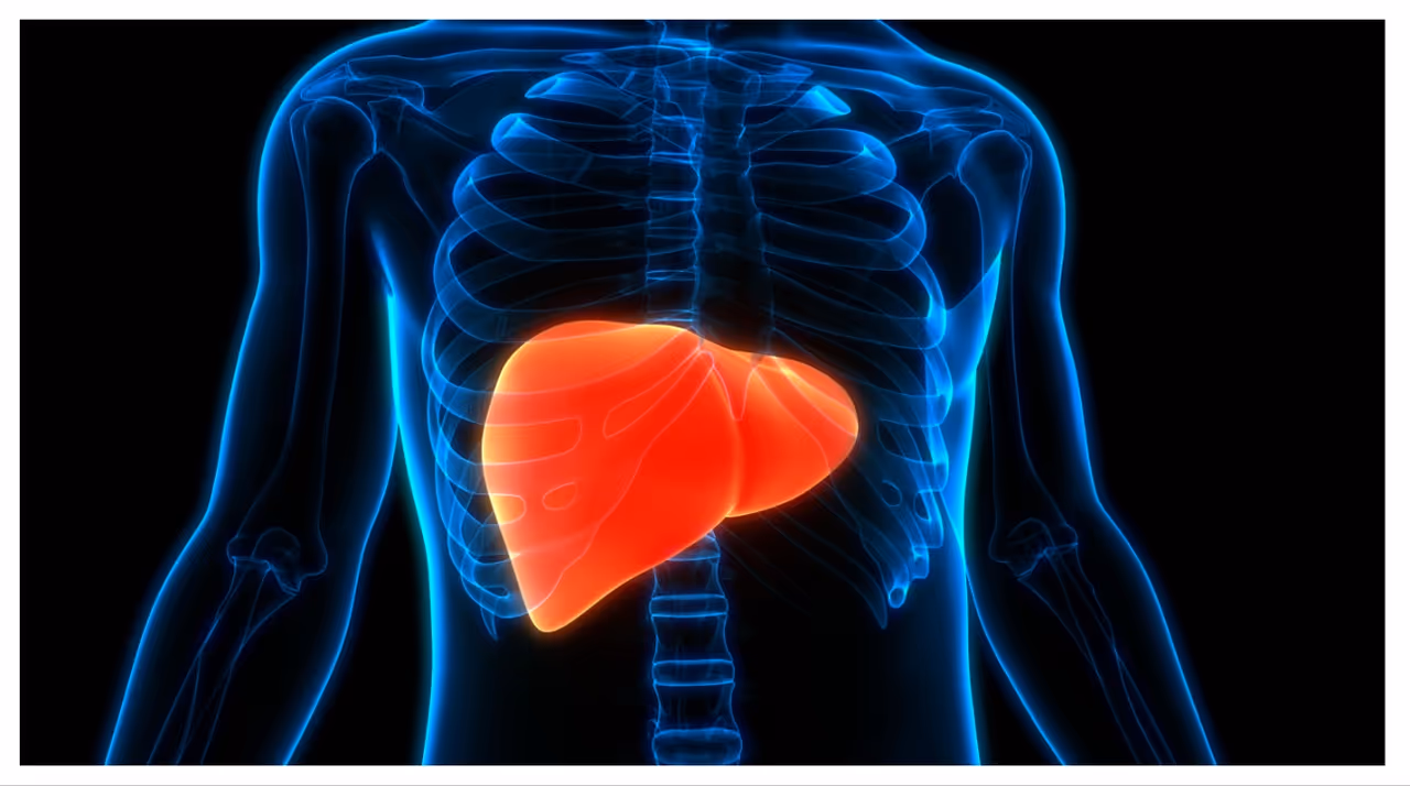 ഫാറ്റി ലിവർ പ്രശ്നമുള്ളവർ കഴിക്കേണ്ടതും ഒഴിവാക്കേണ്ടതുമായ ഭക്ഷണങ്ങളിതാ... ഫാറ്റി ലിവർ പ്രശ്നമുള്ളവർ കഴിക്കേണ്ടതും ഒഴിവാക്കേണ്ടതുമായ ഭക്ഷണങ്ങളിതാ...