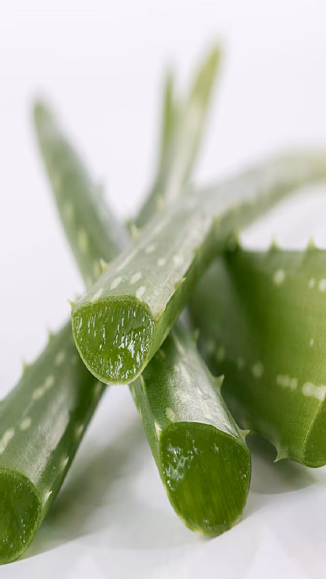 ದೇಹವನ್ನು ಒಳಗಿನಿಂದ ಆರೋಗ್ಯವಾಗಿರಿಸುತ್ತೆ ದೇಹವನ್ನು ಒಳಗಿನಿಂದ ಆರೋಗ್ಯವಾಗಿರಿಸುತ್ತೆ