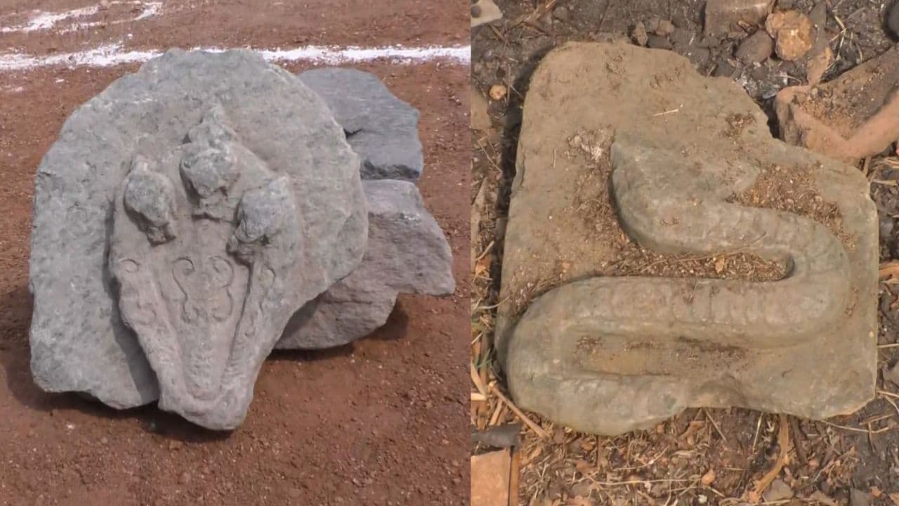 3 सिर वाले नाग की मूर्ति 3 सिर वाले नाग की मूर्ति