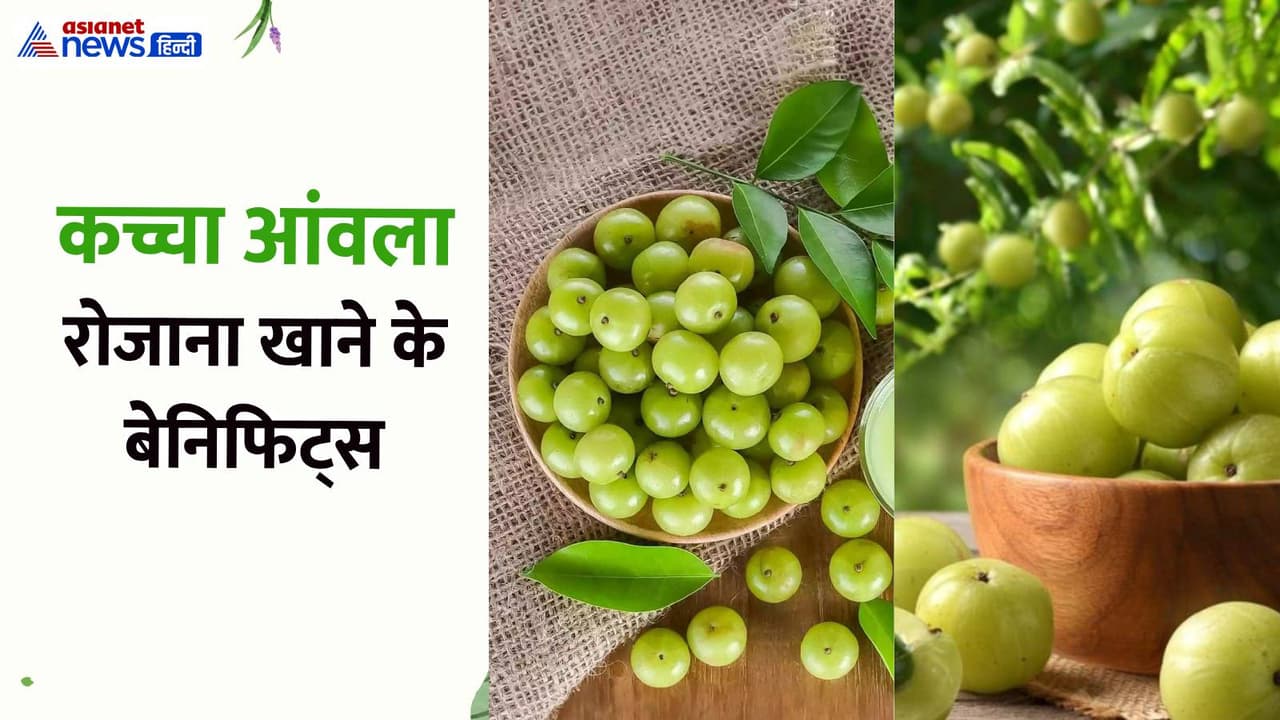 कोलेस्ट्रॉल और BP कंट्रोल करता है आंवला कोलेस्ट्रॉल और BP कंट्रोल करता है आंवला