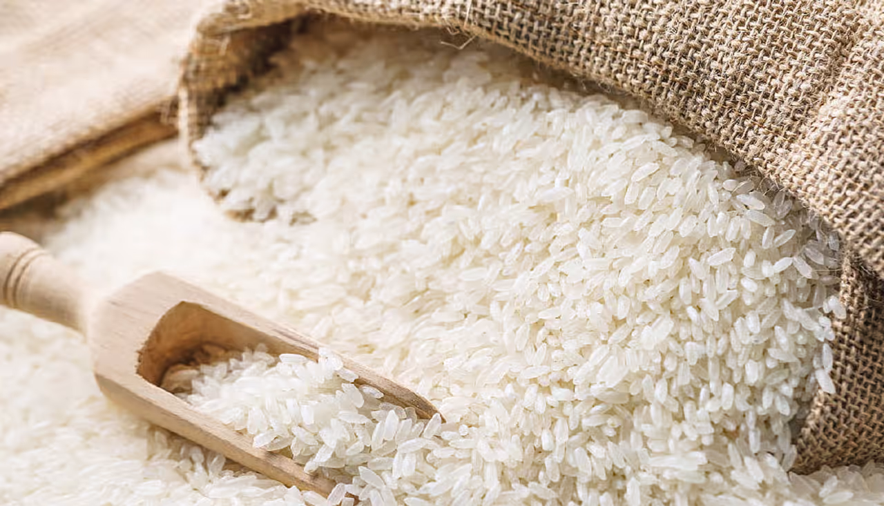 ತೇವಾಂಶ ಮತ್ತು ತಪ್ಪು ಸಂಗ್ರಹಣಾ ವಿಧಾನ ತೇವಾಂಶ ಮತ್ತು ತಪ್ಪು ಸಂಗ್ರಹಣಾ ವಿಧಾನ