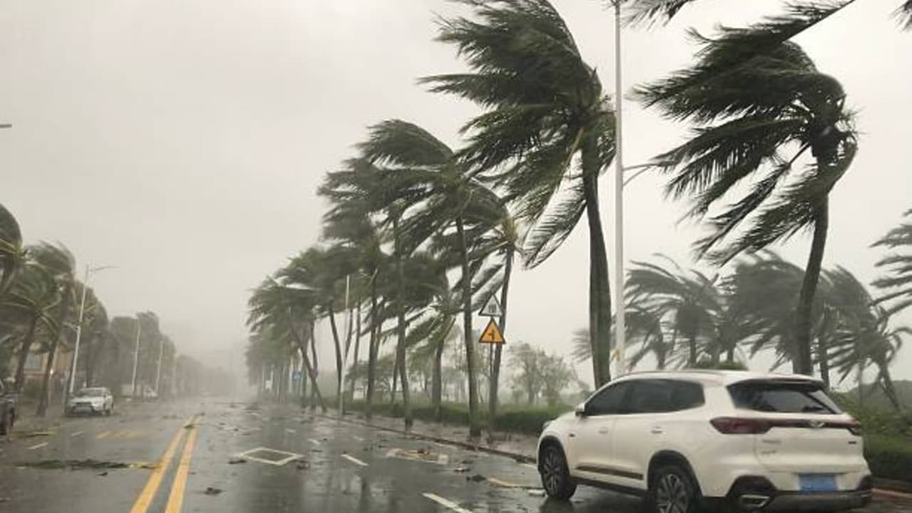 Rain Alert for South Bengal: Kolkata and coastal districts may experience light showers next week due to a new weather system. Rain Alert for South Bengal: Kolkata and coastal districts may experience light showers next week due to a new weather system.