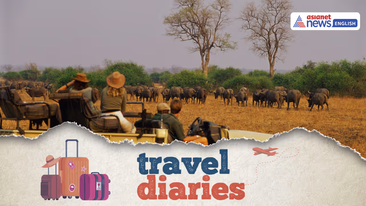 Explore the World’s Best Safari Destinations Explore the World’s Best Safari Destinations