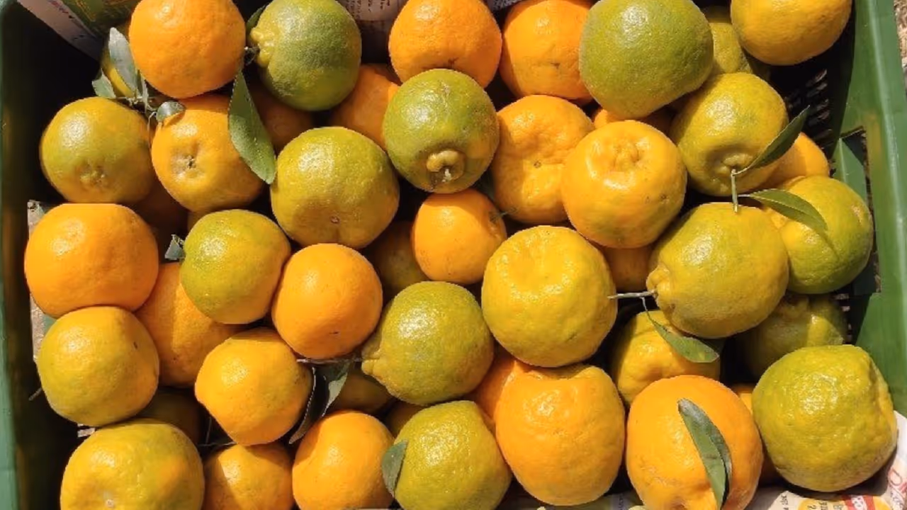 నారింజ నగరం ఏది? నారింజ నగరం ఏది?