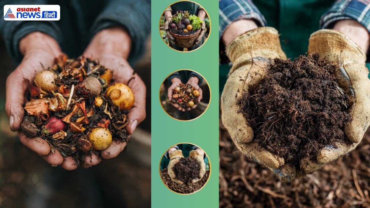 Transform Your Kitchen Scraps into Nutrient Rich Compost Transform Your Kitchen Scraps into Nutrient Rich Compost