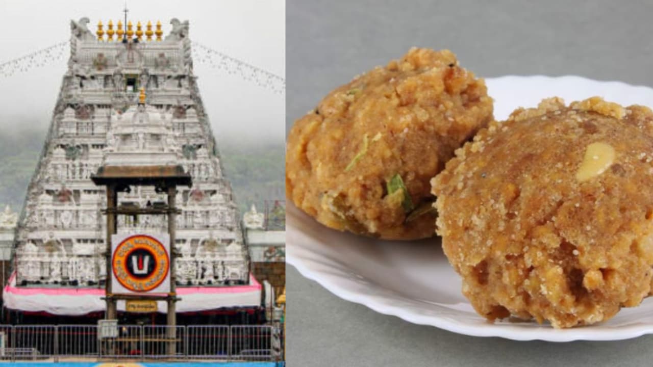 చంద్రబాబు చేతుల మీదుగా ప్రారంభం చంద్రబాబు చేతుల మీదుగా ప్రారంభం