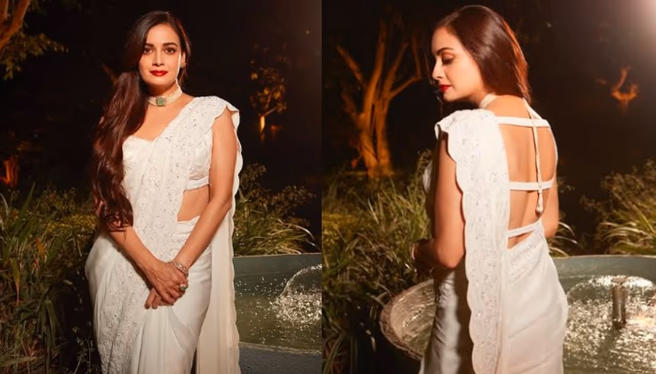 దియా మీర్జా సినీ జీవితం దియా మీర్జా సినీ జీవితం