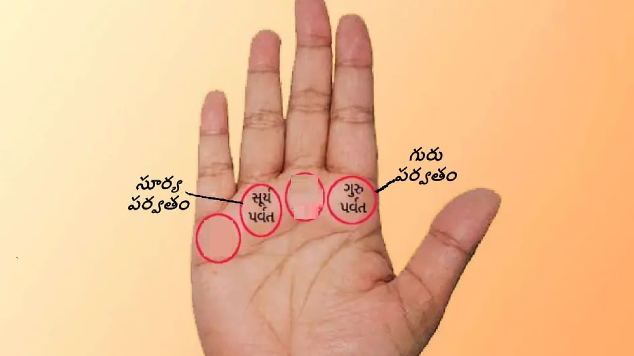 హస్త సాముద్రిక శాస్త్రం విశిష్ఠత హస్త సాముద్రిక శాస్త్రం విశిష్ఠత