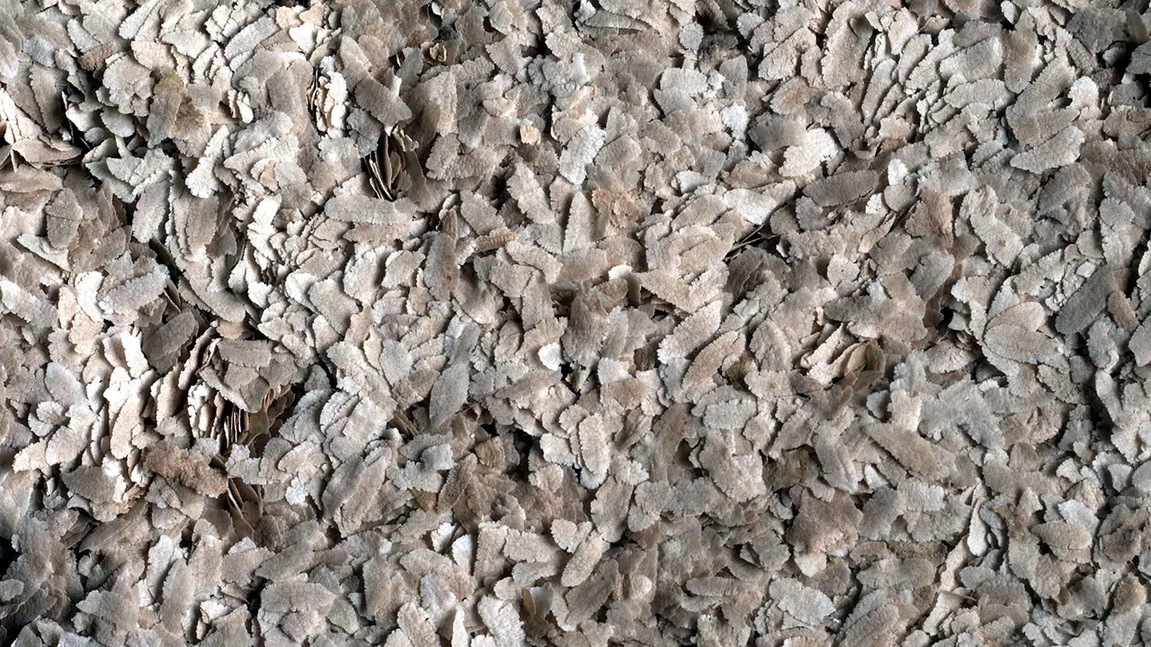 पोहा के पानी के फायदे पोहा के पानी के फायदे