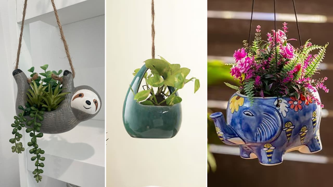 हँगिंग प्लांटर्सचा ट्रेंड हँगिंग प्लांटर्सचा ट्रेंड