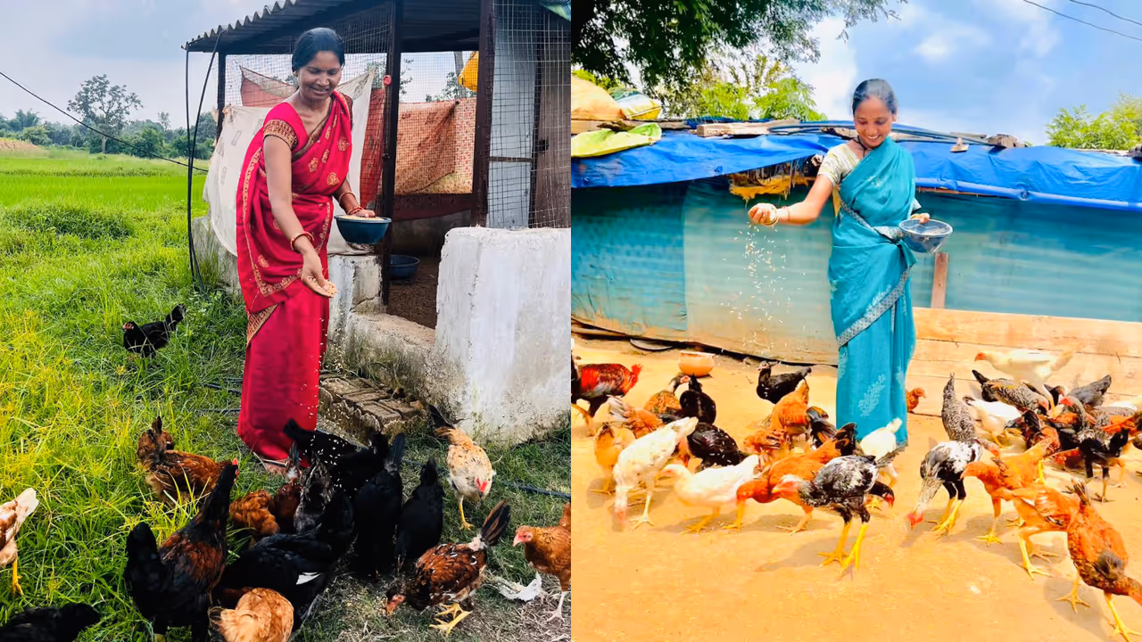 ತರಕಾರಿ, ಮೀನು ಮತ್ತು ಕೋಳಿ ಸಾಕಣೆಯಿಂದ ಮಹಿಳೆಯರ ಆದಾಯ ಹೆಚ್ಚಳ ತರಕಾರಿ, ಮೀನು ಮತ್ತು ಕೋಳಿ ಸಾಕಣೆಯಿಂದ ಮಹಿಳೆಯರ ಆದಾಯ ಹೆಚ್ಚಳ