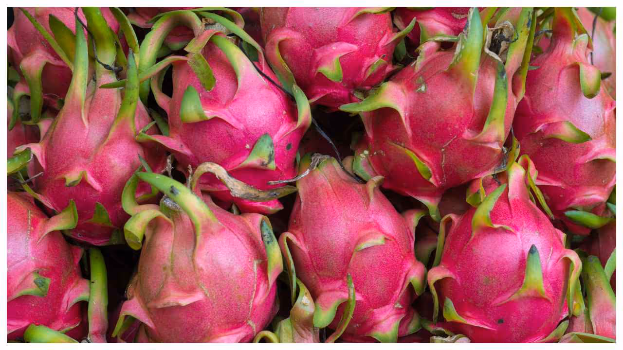 Choose a Healthy Cutting Choose a Healthy Cutting