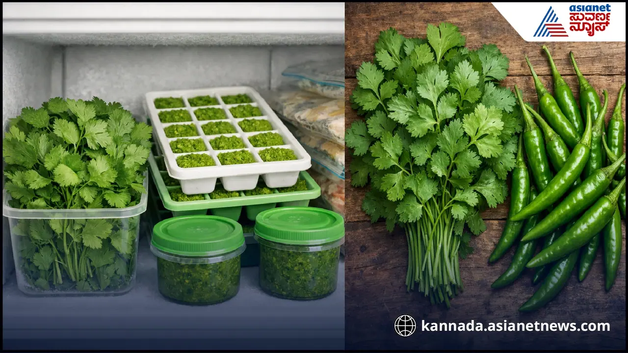 ಕೊತ್ತಂಬರಿ ಸೊಪ್ಪು ಮತ್ತು ಹಸಿರು ಮೆಣಸಿನಕಾಯಿ ತಾಜಾವಾಗಿಡುವುದು ಹೇಗೆ: ಕೊತ್ತಂಬರಿ ಸೊಪ್ಪು ಮತ್ತು ಹಸಿರು ಮೆಣಸಿನಕಾಯಿ ತಾಜಾವಾಗಿಡುವುದು ಹೇಗೆ: