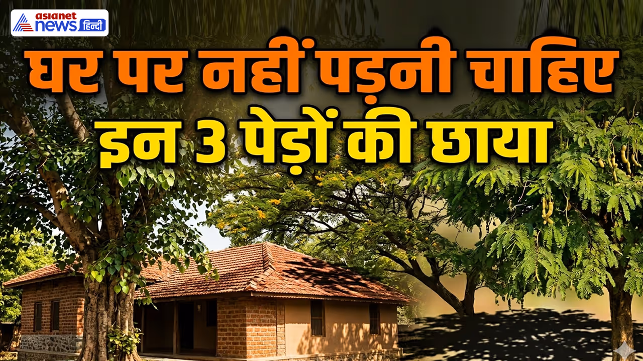 घर में कौन से पेड़ पौधे नहीं लगाना चाहिए? घर में कौन से पेड़ पौधे नहीं लगाना चाहिए?