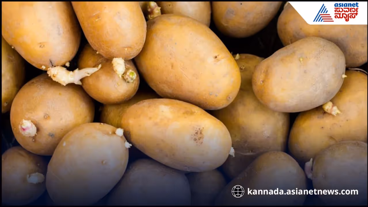 ಆಲೂಗಡ್ಡೆ ಆಲೂಗಡ್ಡೆ