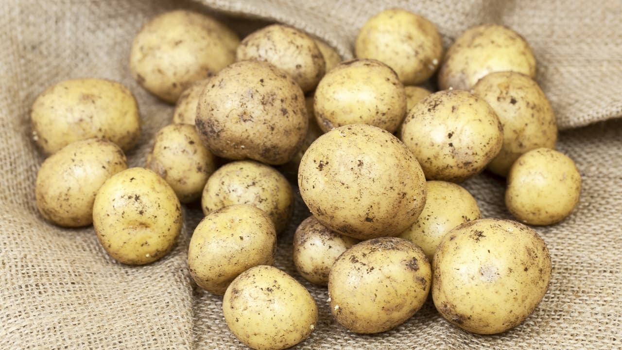 బంగాళాదుంప స్టోరేజి టిప్స్ బంగాళాదుంప స్టోరేజి టిప్స్