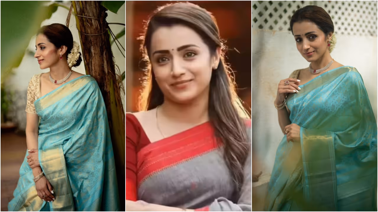 Trisha About Political Entry Trisha About Political Entry