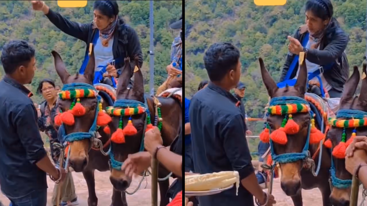 Kedarnath argument video sparks debate online Kedarnath argument video sparks debate online