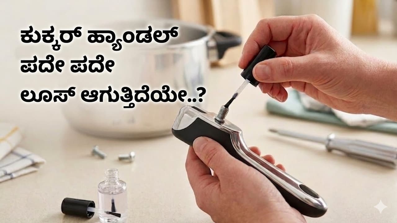 ಕುಕ್ಕರ್ ಹ್ಯಾಂಡಲ್ ಲೂಸ್ ಆಗೋದು ಸಾಮಾನ್ಯ ಸಮಸ್ಯೆ ಕುಕ್ಕರ್ ಹ್ಯಾಂಡಲ್ ಲೂಸ್ ಆಗೋದು ಸಾಮಾನ್ಯ ಸಮಸ್ಯೆ