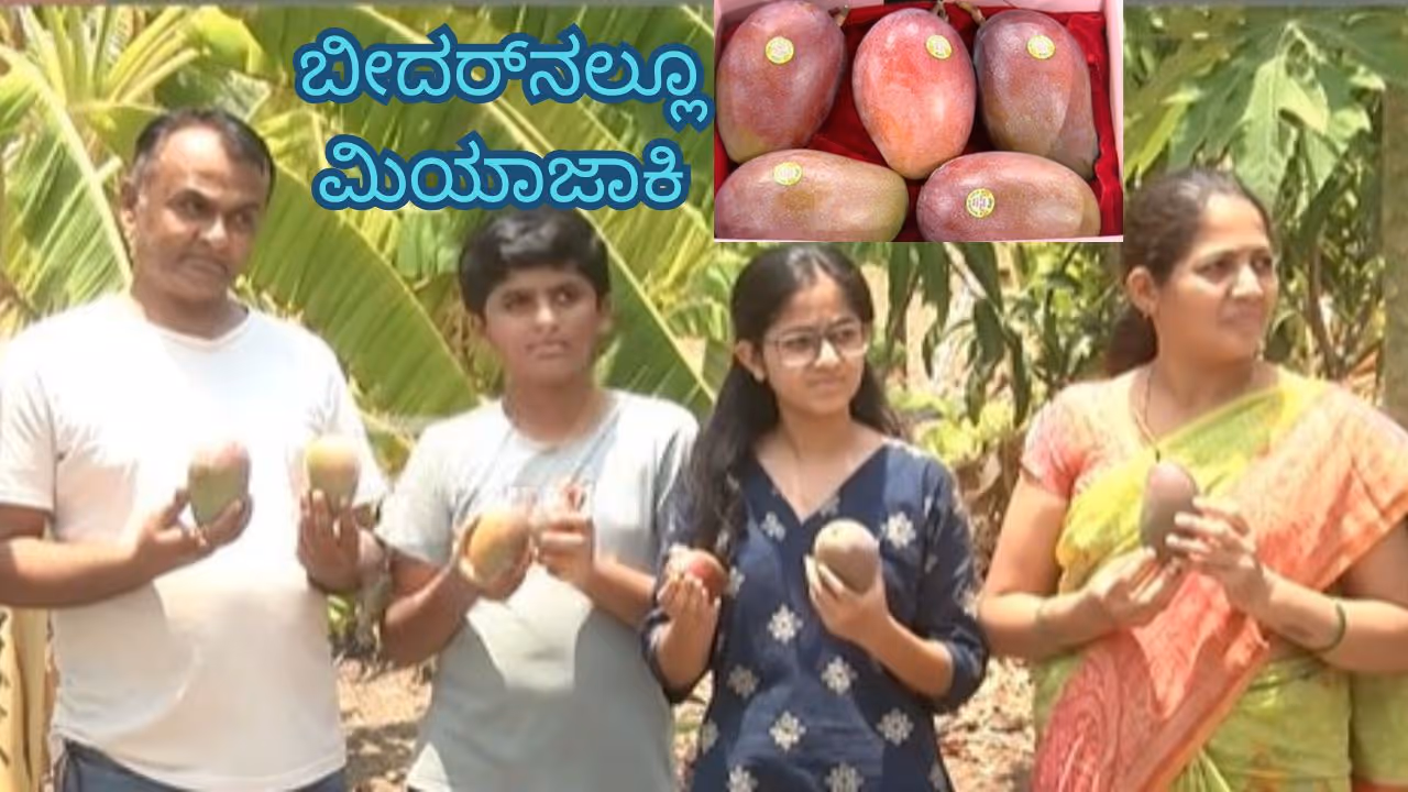ಬೀದರ್ನಲ್ಲೂ ಮಿಯಾಜಾಕಿ ಬೀದರ್ನಲ್ಲೂ ಮಿಯಾಜಾಕಿ