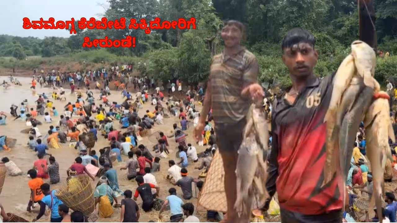 ಶಿವಮೊಗ್ಗದಲ್ಲಿ ಕೆರೆಬೇಟೆ ಸಿಕ್ಕಿದ್ದೆಲ್ಲವೂ ಸೀರುಂಡೆ ಶಿವಮೊಗ್ಗದಲ್ಲಿ ಕೆರೆಬೇಟೆ ಸಿಕ್ಕಿದ್ದೆಲ್ಲವೂ ಸೀರುಂಡೆ