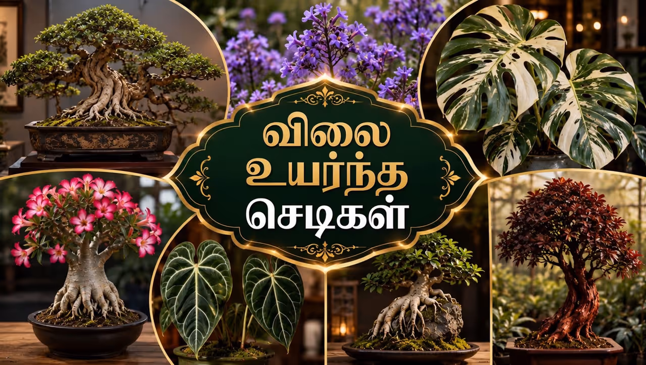 Most Expensive Plants Most Expensive Plants