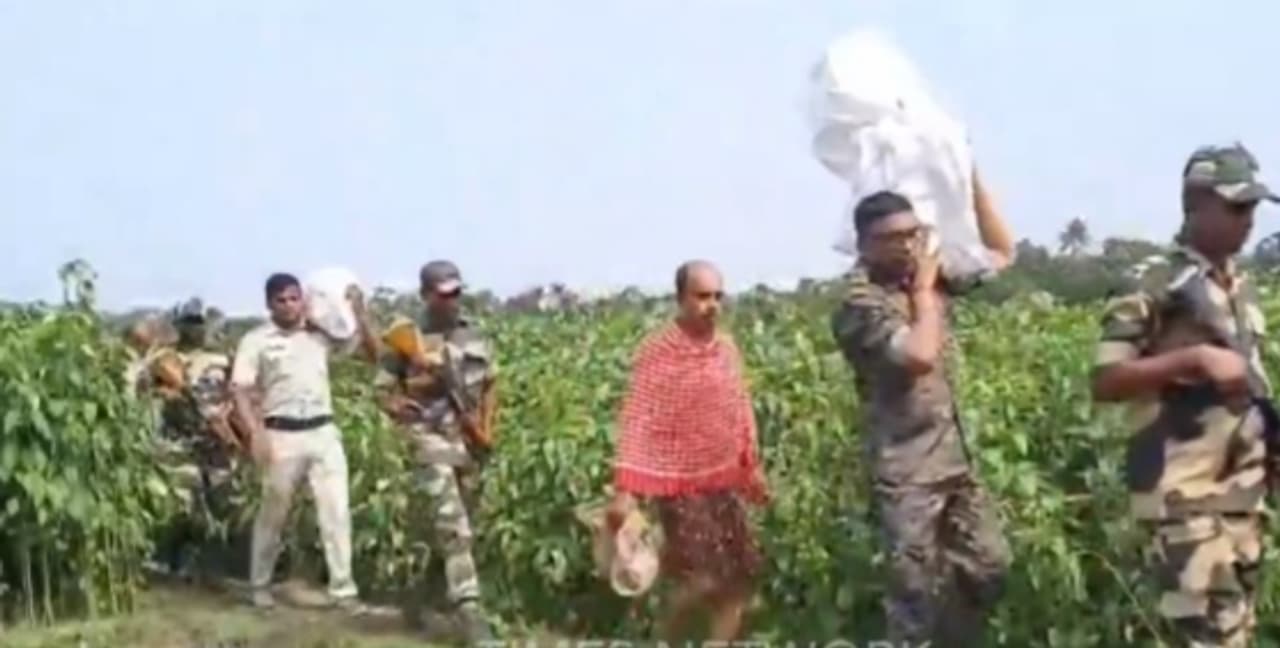 TMC Leader Arrested After Crores in Cash Found Buried in Bengal Jute Field TMC Leader Arrested After Crores in Cash Found Buried in Bengal Jute Field