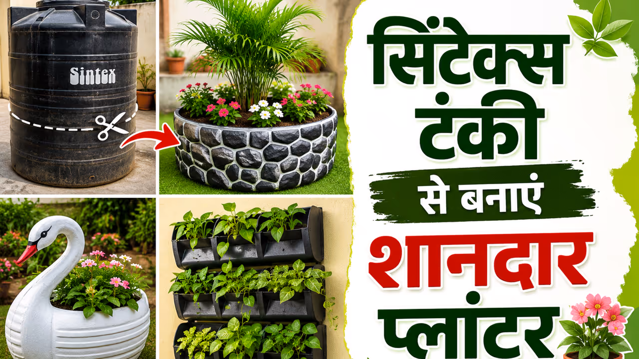 1. हाफ कट राउंड प्लांटर 1. हाफ कट राउंड प्लांटर