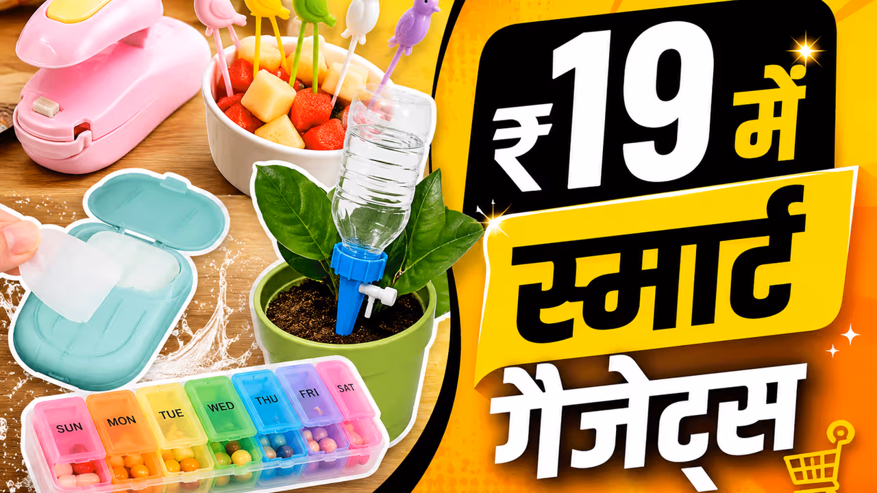 बर्ड शेप फ्रूट पिक बर्ड शेप फ्रूट पिक