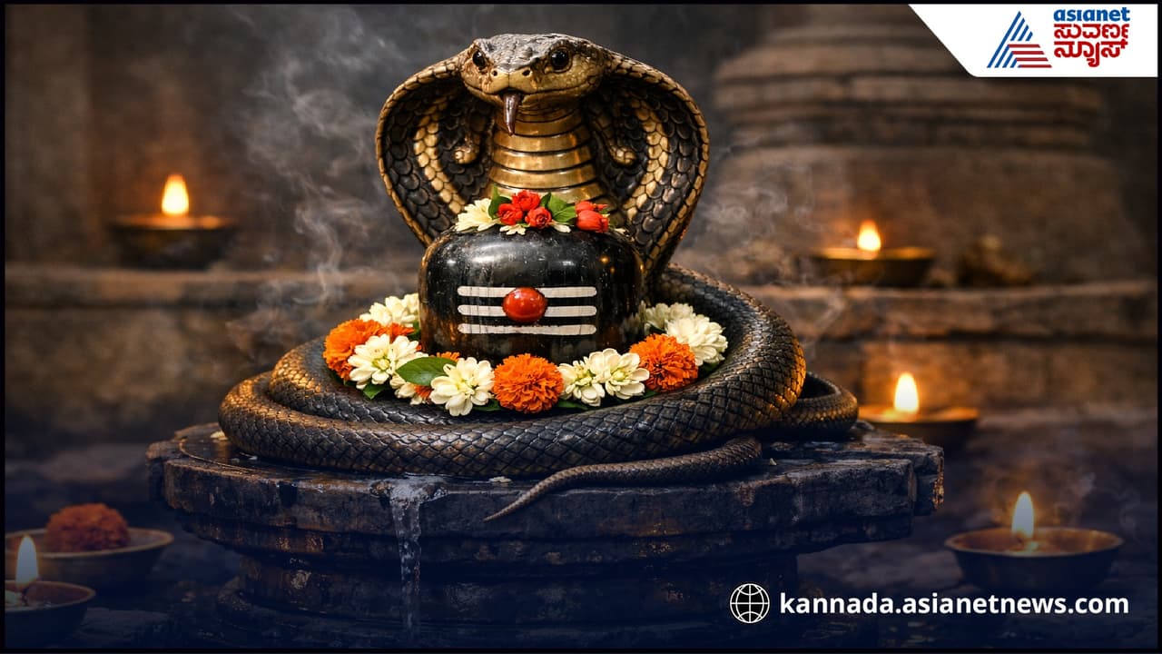 ಕನಸಿನಲ್ಲಿ ಶಿವಲಿಂಗ ಮತ್ತು ಹಾವು ಗೋಚರ ಕನಸಿನಲ್ಲಿ ಶಿವಲಿಂಗ ಮತ್ತು ಹಾವು ಗೋಚರ