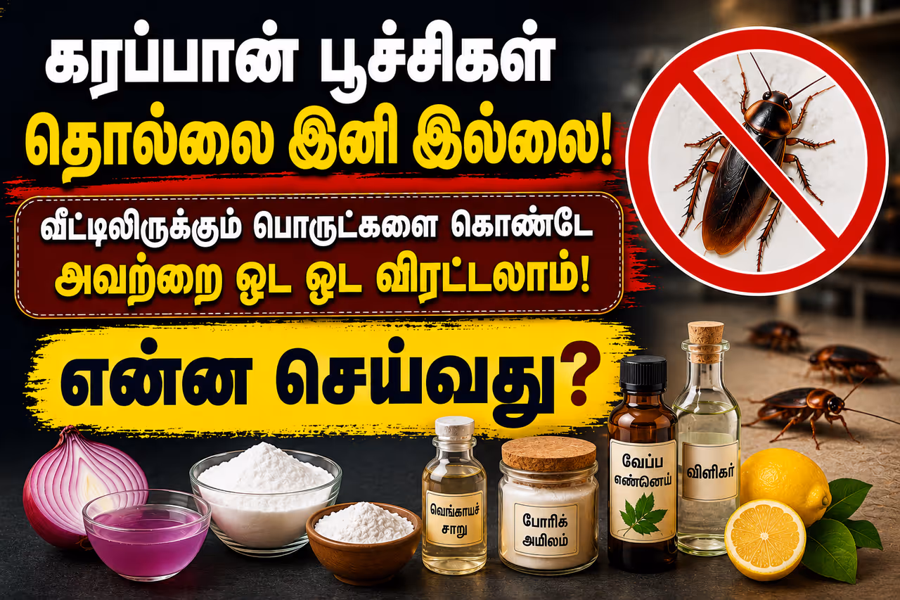 1. தூய்மை தான் முதல் ஆயுதம் 1. தூய்மை தான் முதல் ஆயுதம்