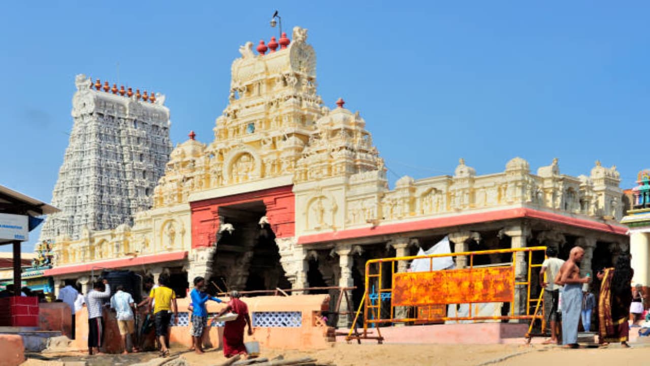 நெருப்பு ராசிகள் (மேஷம், சிம்மம், தனுசு): நெருப்பு ராசிகள் (மேஷம், சிம்மம், தனுசு):