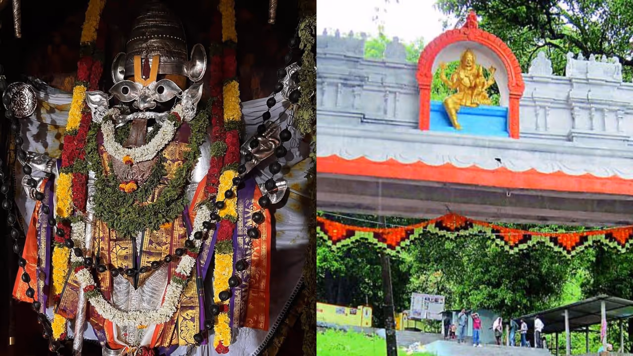 అడవుల మధ్య వెలసిన మహా పుణ్యక్షేత్రం అడవుల మధ్య వెలసిన మహా పుణ్యక్షేత్రం