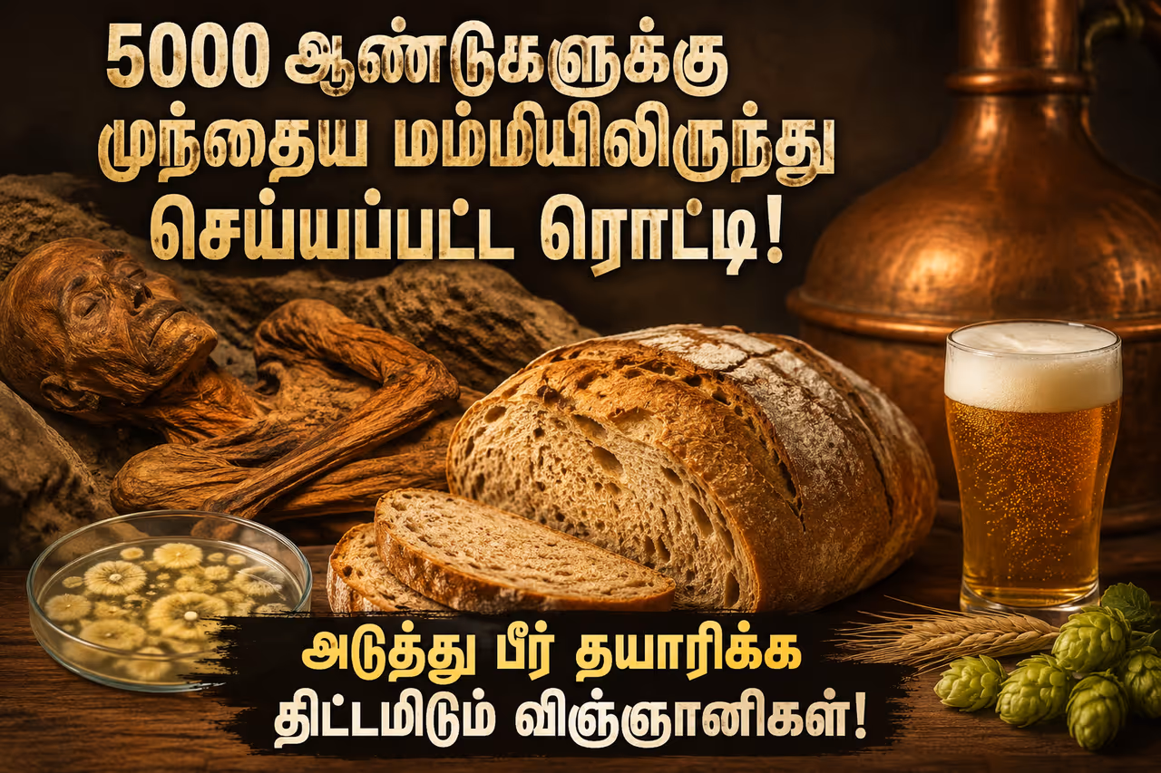 யார் இந்த ஓட்ஸி? யார் இந்த ஓட்ஸி?