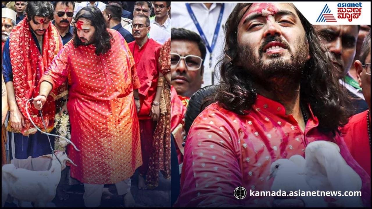 ಪಾರಿವಾಳ ಹಾರಿ ಬಿಟ್ಟ ಅನಂತ್ ಅಂಬಾನಿ ಪಾರಿವಾಳ ಹಾರಿ ಬಿಟ್ಟ ಅನಂತ್ ಅಂಬಾನಿ