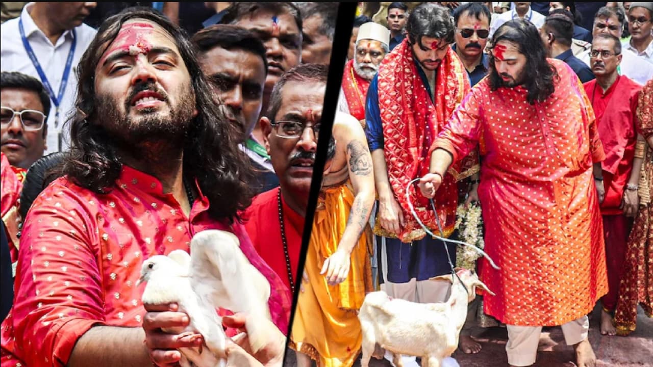 పావురాలను ఎగరేసిన అనంత అంబానీ పావురాలను ఎగరేసిన అనంత అంబానీ