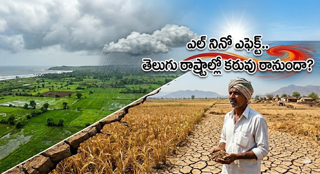 పసిఫిక్ సముద్రంలో ముదురుతున్న 'ఎల్ నినో' సెగ పసిఫిక్ సముద్రంలో ముదురుతున్న 'ఎల్ నినో' సెగ