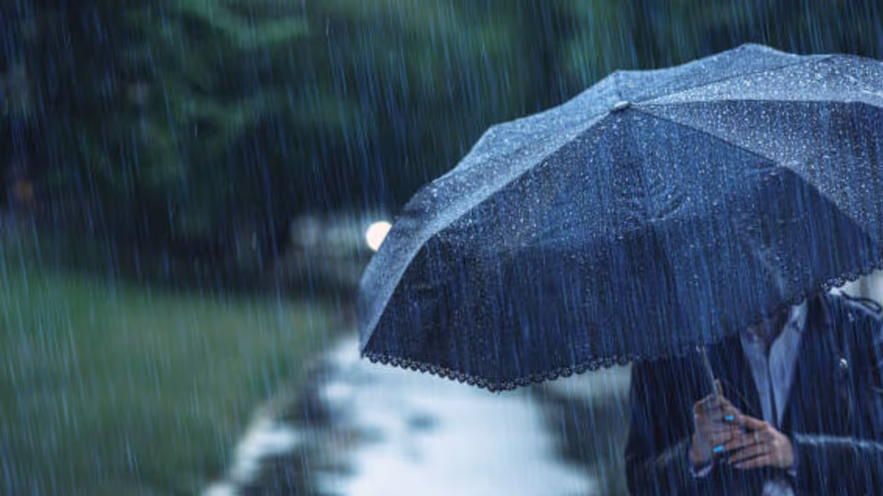 Monsoon picks up pace... downpours in these districts... latest weather update Monsoon picks up pace... downpours in these districts... latest weather update