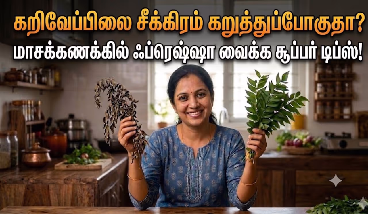 மறுதினம் இலைகள் கறுத்துவிடும் மறுதினம் இலைகள் கறுத்துவிடும்