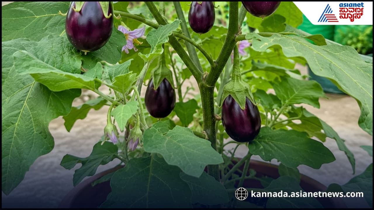 ಮೊದಲು ಈ ಕೆಲ್ಸ ಮಾಡಿ ಮೊದಲು ಈ ಕೆಲ್ಸ ಮಾಡಿ