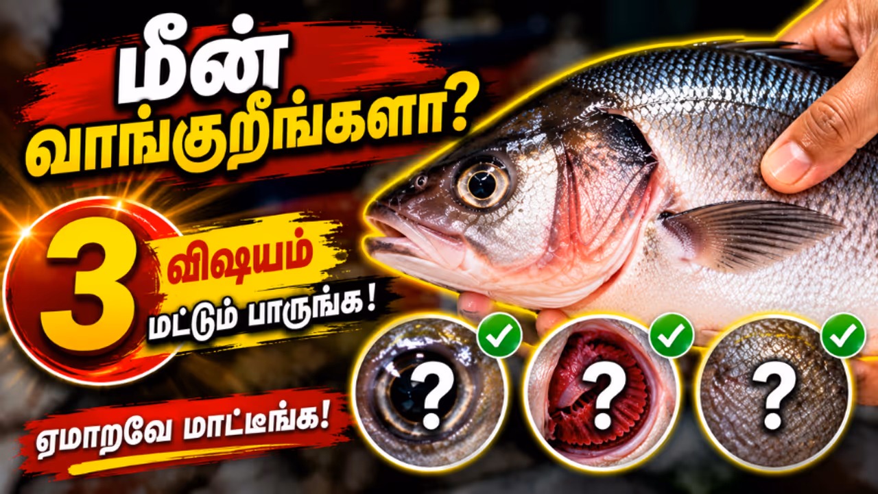சரியான மீனை தேர்வு செய்வது முக்கியம் சரியான மீனை தேர்வு செய்வது முக்கியம்