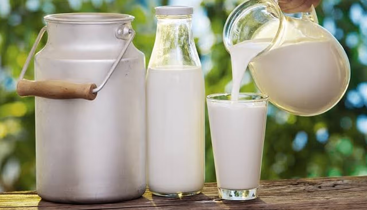 பச்சை பால் பிரிட்ஜில் வைக்கலாம் பச்சை பால் பிரிட்ஜில் வைக்கலாம்